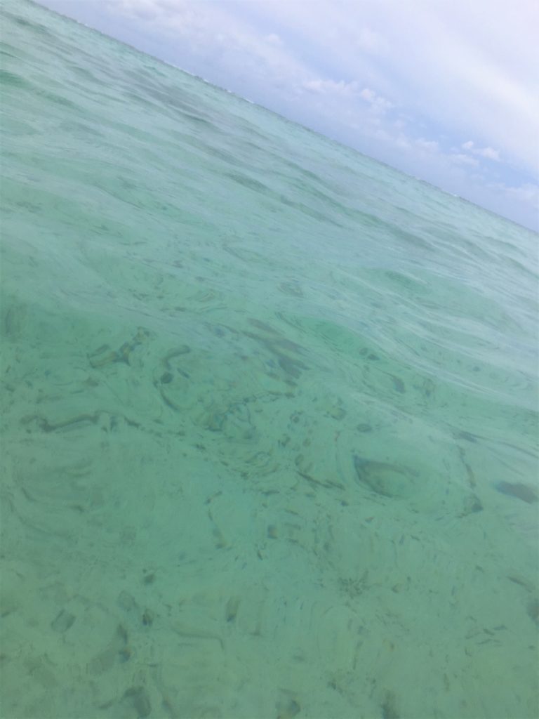 海に浸かって、エメラルドグリーンの海を映した写真