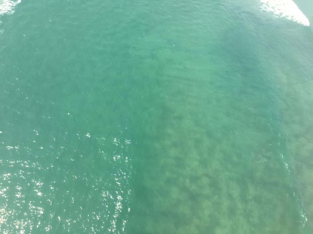 私が実際に挑戦したパラセーリング中に見た、ミーケービーチの透明度の高さを撮影した写真